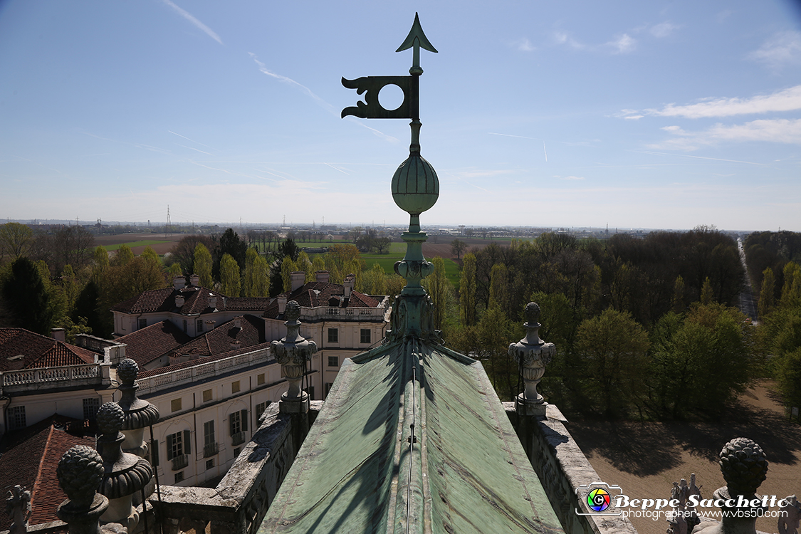 VBS_5859 - Sotto il Cervo - Palazzina di Caccia di Stupinigi.jpg